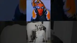 Crazy Animal Reaction 😳🤯 Part 2 #shorts #sigma #reaction