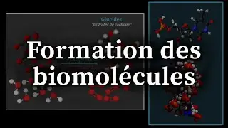Formation des biomolécules