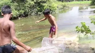 AMAZING!!! Khmer Children Make Net Lure Trap Fish and Crocodile - Cambo Trap Lure Fishing