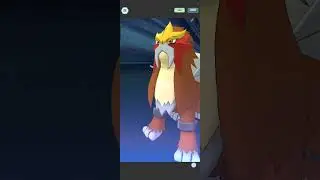 Pokémon Masters EX - 3/5 20/20 Variety Kris solos Entei