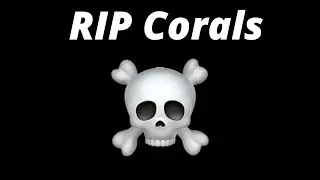 All my corals are dead!