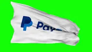 paypal support