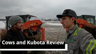 Cows and Kubota Review