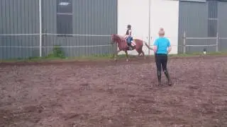 Maeve op Dino