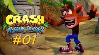 Crash Bandicoot N. Sane Trilogy 🎮 Crash Bandicoot [#01||104% Walkthrough]