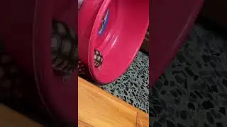 無限來回 腳程里數超高標準