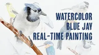 #Watercolor Blue Jay - Bird Series - Real-Time Painting