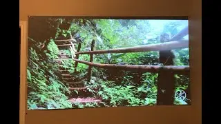Projector screen from eBay - high gain gray