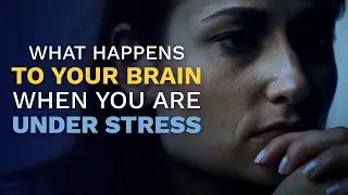 This is Your Brain on Stress | Art of Living