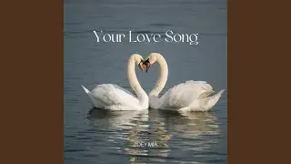 Your Love Song