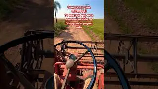 Nossa nova colheitadeira MF310 ano 1974 🙏🙏 #agro #agricultura #masseyferguson #ro&ccedil;a #MF310