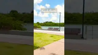 Recife - Rua da Aurora