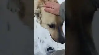 НАГУЛЯВСЯ...