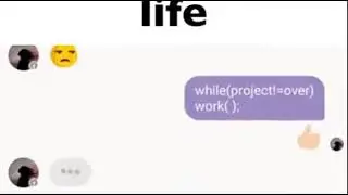 Programmers Life | Area Ranking