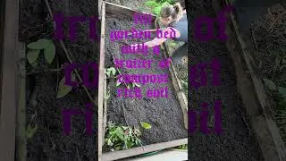 Cultivating resilience: a food security garden