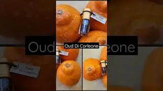 Sicilian Vibe Middle-eastern Attar #shorts #attar #oud #Orange #sicily #travel #perfume #dubai