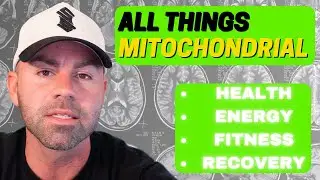 &ldquo;Unlock Your Body&rsquo;s Powerhouse: A Guide to Mitochondrial Optimization for Peak Performance&rdquo;