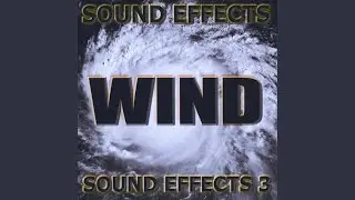 Light rain, breeze wind sound effects