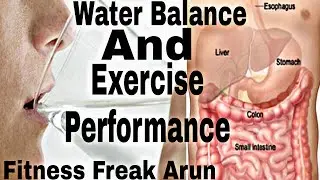 Water Balance And Exercise Performance|#Fitnessfreak #Fitness #Health #bodybuilding