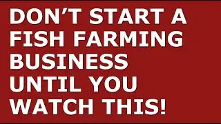 How to Start a Fish Farming Business | Free Fish Farming Business Plan Template Included
