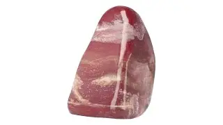 Versteend hout sculptuur nr 30  ( Versteend hout kopen )