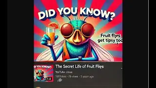 Why Fruit Flies Get Drunk Like Us