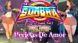 SONIDO LA SOMBRA DE DAVID LARA 2025 HERIDAS DE AMOR ESTRENO LA CHICA CUMBIA LA TERRAZA ZONA SUR