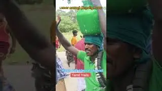 Panai Kanavu Thiruvizha 2025 |Tamil Culture Celebration 🌴#shorts #panaikanavuthiruvizha #shortstamil
