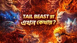 Tail beastra akhon kuthai . টেইল বিস্তরা এখন কোথায় । 2025 শেষ ভিডিও new year special king pase ... 