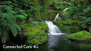 Meditate Easily & Focus, Music for study, nature sounds ⚡ Connected Care 4U