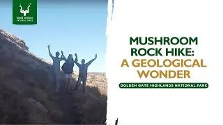Mushroom Rock Hike: A Geological Wonder | Golden Gate Highlands National Park #SANParks