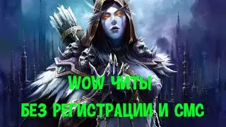 Читеры на арене | World of Warcraft hack\cheating on arena