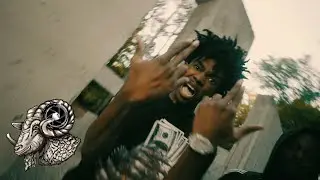 Lil Birdie - Brains (Official Music Video)