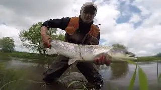 Salmon River Skjern 1