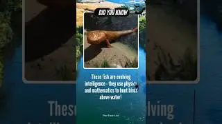 🐟 Fish Are Evolving Intelligence: Using Physics  to Hunt Birds Above Water! 🌊 #silentkillers