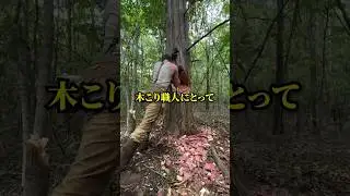 道具のせいにする木こり職人ww