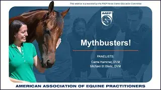 Mythbusters! A webinar brought to you by the AAEP Horse Owners Education committee.