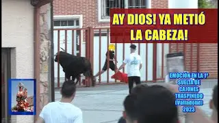 Traspinedo (Va). 1ª Suelta de Cajones. 