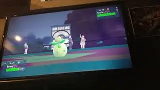 Solo poochyena run 2nd attempt brassius
