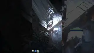 Path of exile 2 Builds: Ice Wolf Druid Build