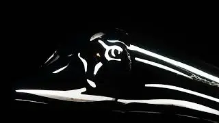 Swans Amsterdam Light Festiville