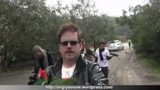 SMP Films, Katers17 and AngryAussie eaten alive by wild parrots!
