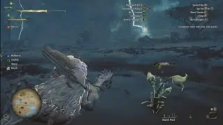 Chill Travel Session In Monster Hunter Wilds