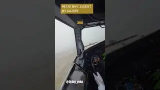 B737NG First Officer Handling Strong, Gusty Crosswinds #aviation #airplane #b737 #landing