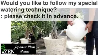 Would you like to follow my special watering technique?: please check it in advance.
