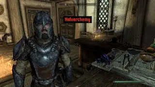 Halvarchemy (No Commentary) (Leveling Alchemy)