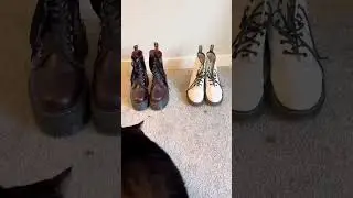 letting my cat choose my outfit!! (ft. my docs)