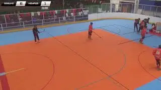BIPHA South Wales Live Stream - Senior Premiership and Senior B