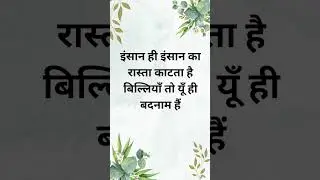 बहुत बदल गया इंसान😥 #insaan #cat #change #sun #sky #motivation