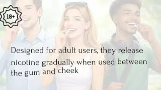 Premium Nicpix Nicotine Toothpicks at &euro;1.99 | Pouch Store UK
